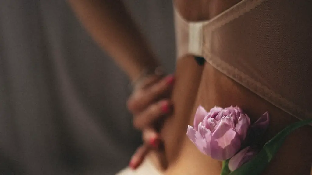 What kinda lingerie does pieces like?