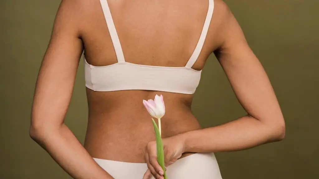 What does queen size mean in lingerie?